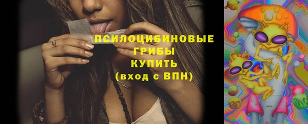 соль ск Арсеньев