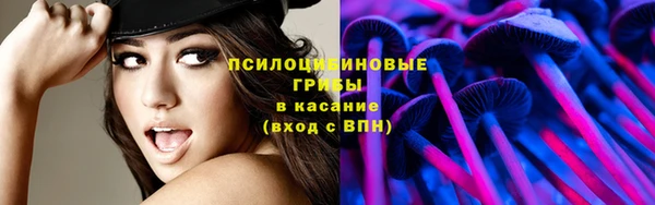 соль ск Арсеньев
